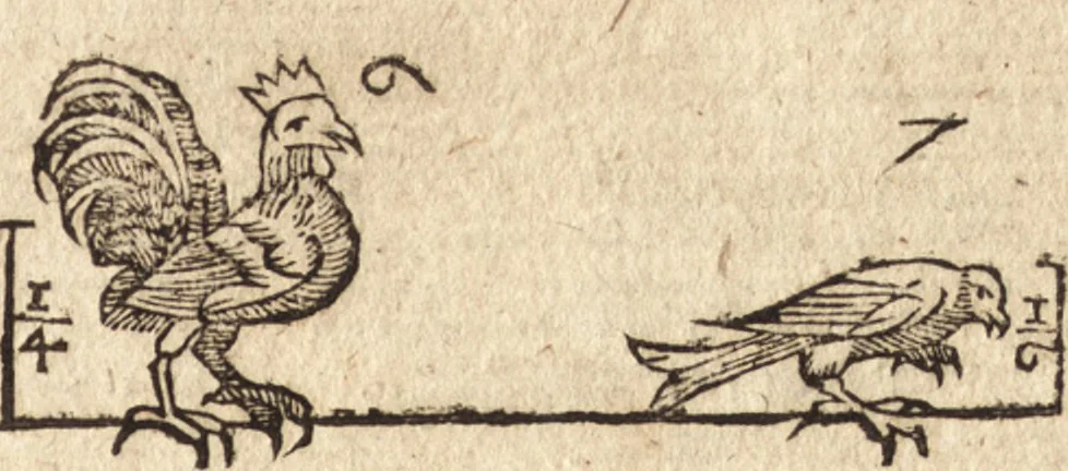 An illustration from Varia conmensuracion para le escultura y arquitectura, 1675, leaf 212