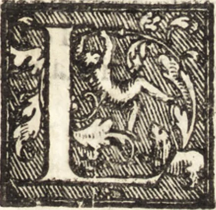 An illustration from Venetia, citta nobilissima et singolare : descritta in XIIII. libri, 1581, leaf 116