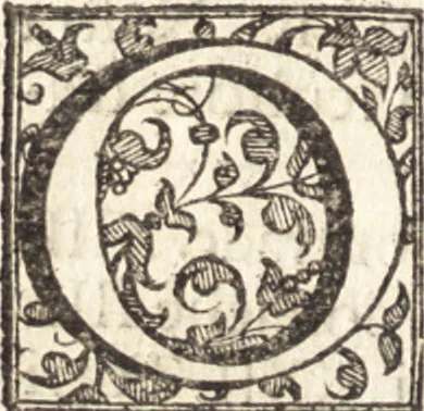 An illustration from Venetia, citta nobilissima et singolare : descritta in XIIII. libri, 1581, leaf 137