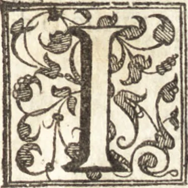 An illustration from Venetia, citta nobilissima et singolare : descritta in XIIII. libri, 1581, leaf 156