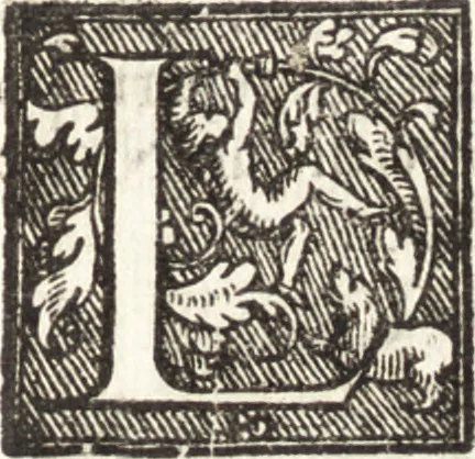 An illustration from Venetia, citta nobilissima et singolare : descritta in XIIII. libri, 1581, leaf 168
