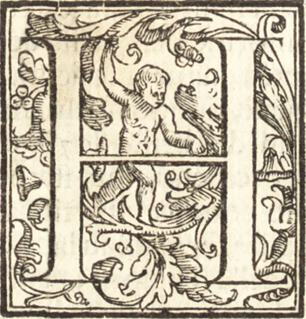 An illustration from Venetia, citta nobilissima et singolare : descritta in XIIII. libri, 1581, leaf 342