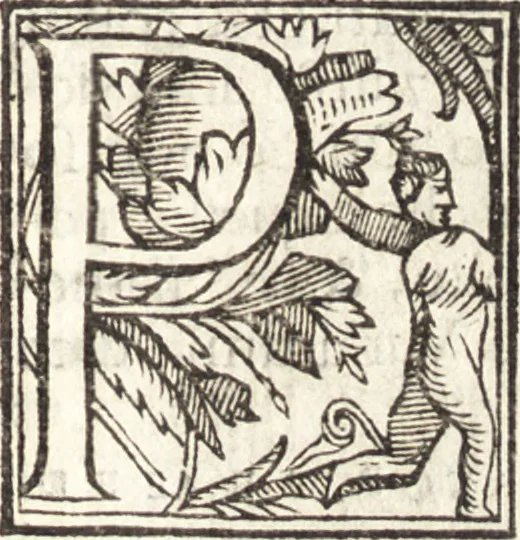 An illustration from Venetia, citta nobilissima et singolare : descritta in XIIII. libri, 1581, leaf 408