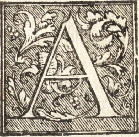 An illustration from Venetia, citta nobilissima et singolare : descritta in XIIII. libri, 1581, leaf 6