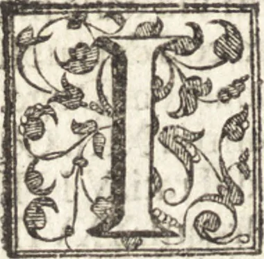 An illustration from Venetia, citta nobilissima et singolare : descritta in XIIII. libri, 1581, leaf 69