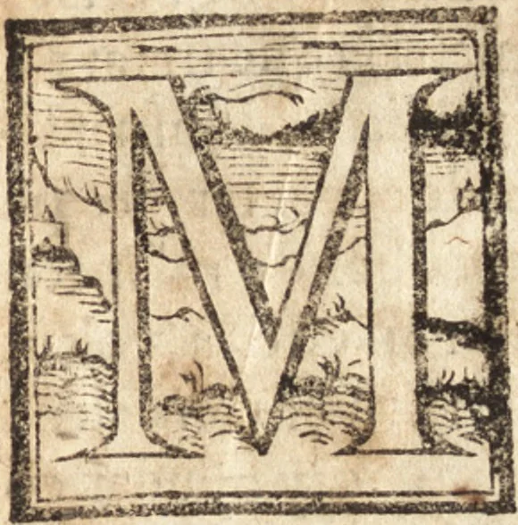 An illustration from Verdadera informacion de la tierra Sancta : seguu la disposicion q̃ en el año de mil y quinientos y treynta, 1584, leaf 6