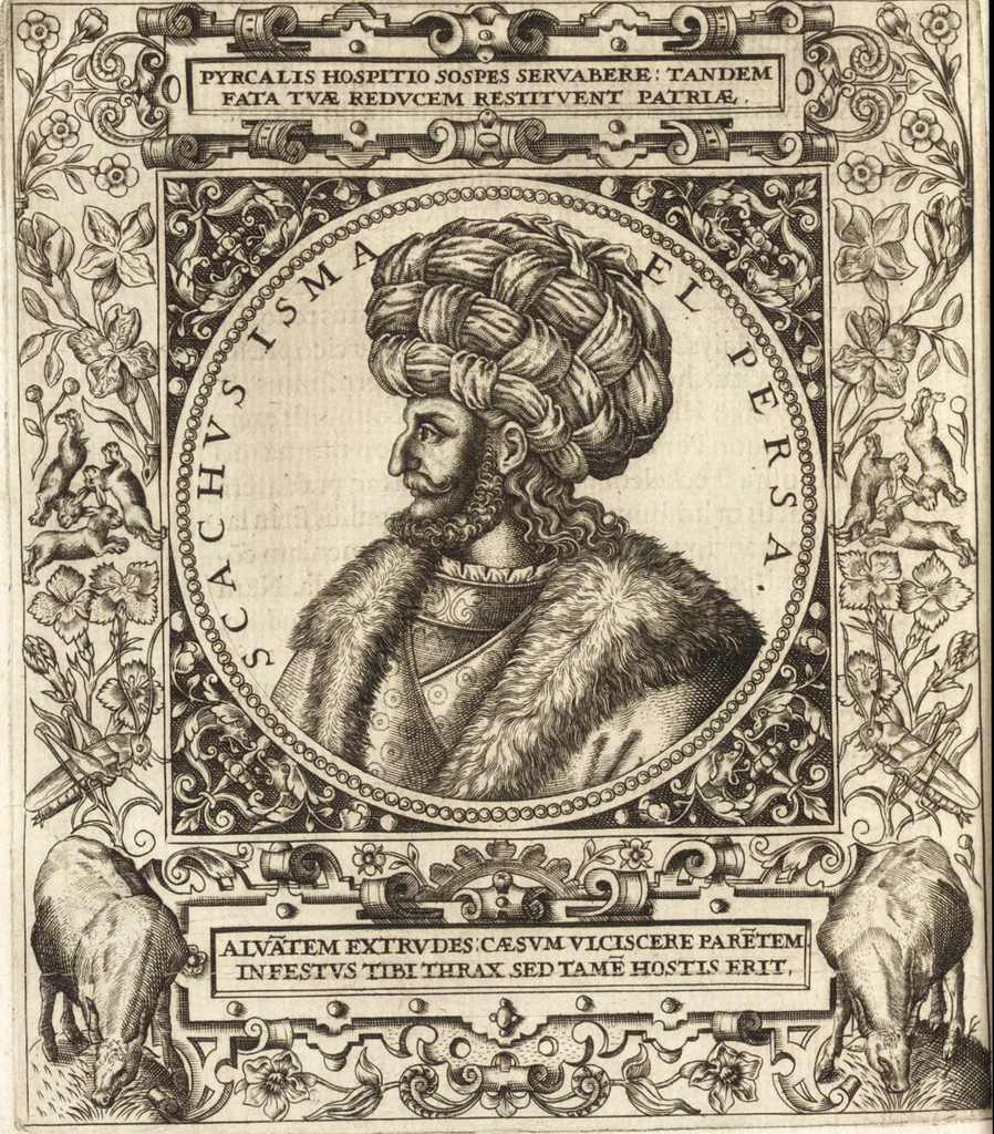 An illustration from Vitae et icones sultanorum Turcicorum, principum Persarum aliorumq[ue] illustrium heroum heroinarumq[ue] ab Osmane usq[ue] ad Mahometem II : ad vivum ex antiquis mettallis effictae, primum ex Co[n]sta[n]tinopoli D. Imp. Ferdina[n]do oblatae nunc descriptae & tetras[t]ichis succinctis illustratae, 1596, leaf 119