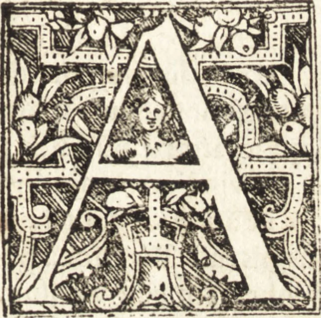 An illustration from Vitae et icones sultanorum Turcicorum, principum Persarum aliorumq[ue] illustrium heroum heroinarumq[ue] ab Osmane usq[ue] ad Mahometem II : ad vivum ex antiquis mettallis effictae, primum ex Co[n]sta[n]tinopoli D. Imp. Ferdina[n]do oblatae nunc descriptae & tetras[t]ichis succinctis illustratae, 1596, leaf 14