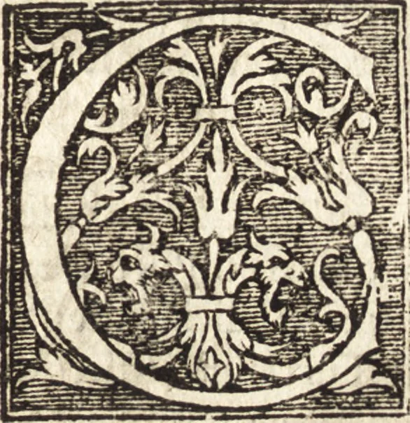 An illustration from Vitae et icones sultanorum Turcicorum, principum Persarum aliorumq[ue] illustrium heroum heroinarumq[ue] ab Osmane usq[ue] ad Mahometem II : ad vivum ex antiquis mettallis effictae, primum ex Co[n]sta[n]tinopoli D. Imp. Ferdina[n]do oblatae nunc descriptae & tetras[t]ichis succinctis illustratae, 1596, leaf 154