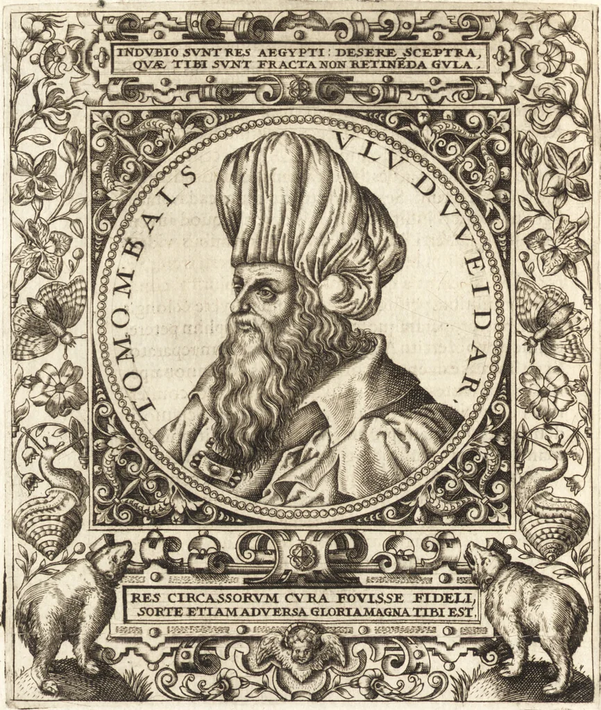 An illustration from Vitae et icones sultanorum Turcicorum, principum Persarum aliorumq[ue] illustrium heroum heroinarumq[ue] ab Osmane usq[ue] ad Mahometem II : ad vivum ex antiquis mettallis effictae, primum ex Co[n]sta[n]tinopoli D. Imp. Ferdina[n]do oblatae nunc descriptae & tetras[t]ichis succinctis illustratae, 1596, leaf 159
