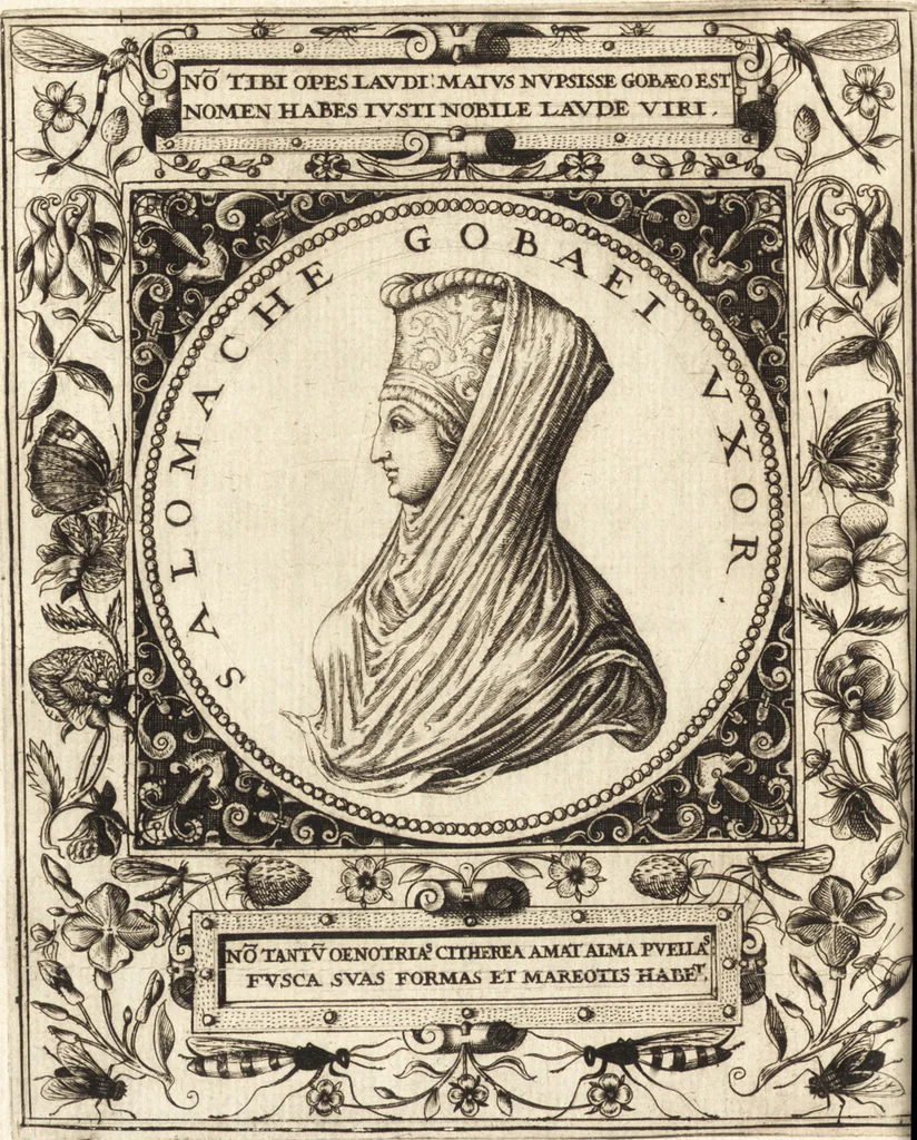 An illustration from Vitae et icones sultanorum Turcicorum, principum Persarum aliorumq[ue] illustrium heroum heroinarumq[ue] ab Osmane usq[ue] ad Mahometem II : ad vivum ex antiquis mettallis effictae, primum ex Co[n]sta[n]tinopoli D. Imp. Ferdina[n]do oblatae nunc descriptae & tetras[t]ichis succinctis illustratae, 1596, leaf 169