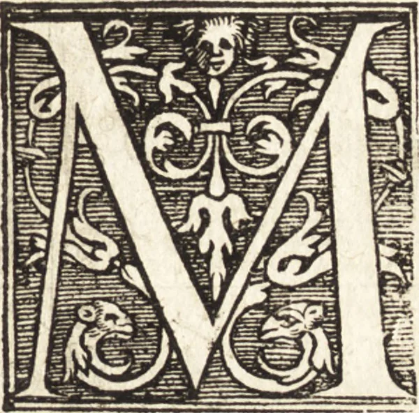 An illustration from Vitae et icones sultanorum Turcicorum, principum Persarum aliorumq[ue] illustrium heroum heroinarumq[ue] ab Osmane usq[ue] ad Mahometem II : ad vivum ex antiquis mettallis effictae, primum ex Co[n]sta[n]tinopoli D. Imp. Ferdina[n]do oblatae nunc descriptae & tetras[t]ichis succinctis illustratae, 1596, leaf 184