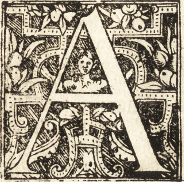 An illustration from Vitae et icones sultanorum Turcicorum, principum Persarum aliorumq[ue] illustrium heroum heroinarumq[ue] ab Osmane usq[ue] ad Mahometem II : ad vivum ex antiquis mettallis effictae, primum ex Co[n]sta[n]tinopoli D. Imp. Ferdina[n]do oblatae nunc descriptae & tetras[t]ichis succinctis illustratae, 1596, leaf 186