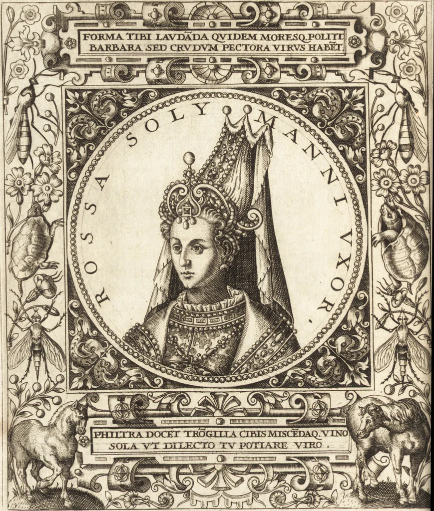 An illustration from Vitae et icones sultanorum Turcicorum, principum Persarum aliorumq[ue] illustrium heroum heroinarumq[ue] ab Osmane usq[ue] ad Mahometem II : ad vivum ex antiquis mettallis effictae, primum ex Co[n]sta[n]tinopoli D. Imp. Ferdina[n]do oblatae nunc descriptae & tetras[t]ichis succinctis illustratae, 1596, leaf 217