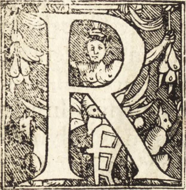 An illustration from Vitae et icones sultanorum Turcicorum, principum Persarum aliorumq[ue] illustrium heroum heroinarumq[ue] ab Osmane usq[ue] ad Mahometem II : ad vivum ex antiquis mettallis effictae, primum ex Co[n]sta[n]tinopoli D. Imp. Ferdina[n]do oblatae nunc descriptae & tetras[t]ichis succinctis illustratae, 1596, leaf 218