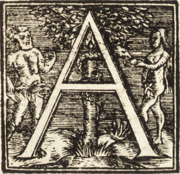 An illustration from Vitae et icones sultanorum Turcicorum, principum Persarum aliorumq[ue] illustrium heroum heroinarumq[ue] ab Osmane usq[ue] ad Mahometem II : ad vivum ex antiquis mettallis effictae, primum ex Co[n]sta[n]tinopoli D. Imp. Ferdina[n]do oblatae nunc descriptae & tetras[t]ichis succinctis illustratae, 1596, leaf 224