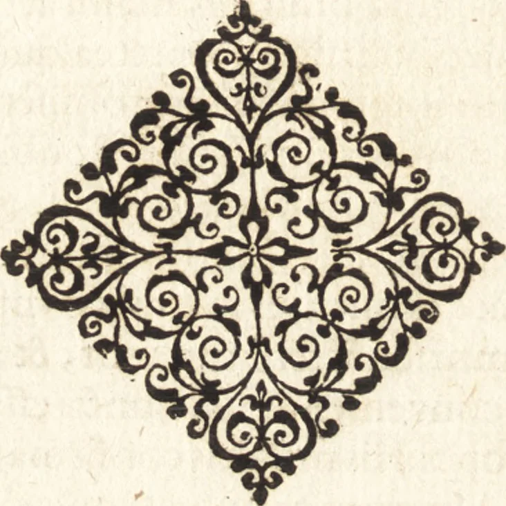 An illustration from Vitae et icones sultanorum Turcicorum, principum Persarum aliorumq[ue] illustrium heroum heroinarumq[ue] ab Osmane usq[ue] ad Mahometem II : ad vivum ex antiquis mettallis effictae, primum ex Co[n]sta[n]tinopoli D. Imp. Ferdina[n]do oblatae nunc descriptae & tetras[t]ichis succinctis illustratae, 1596, leaf 229