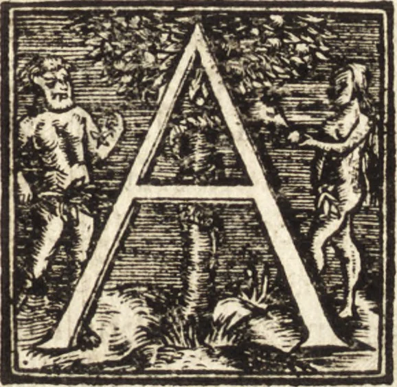 An illustration from Vitae et icones sultanorum Turcicorum, principum Persarum aliorumq[ue] illustrium heroum heroinarumq[ue] ab Osmane usq[ue] ad Mahometem II : ad vivum ex antiquis mettallis effictae, primum ex Co[n]sta[n]tinopoli D. Imp. Ferdina[n]do oblatae nunc descriptae & tetras[t]ichis succinctis illustratae, 1596, leaf 232