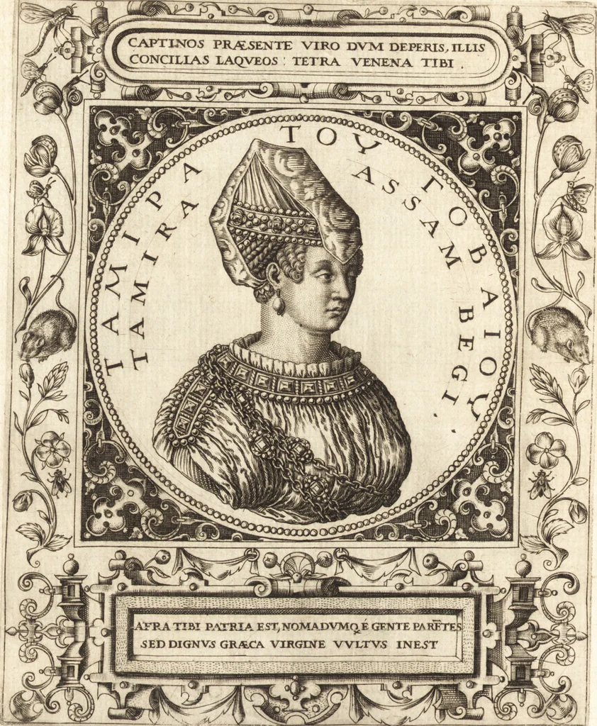 An illustration from Vitae et icones sultanorum Turcicorum, principum Persarum aliorumq[ue] illustrium heroum heroinarumq[ue] ab Osmane usq[ue] ad Mahometem II : ad vivum ex antiquis mettallis effictae, primum ex Co[n]sta[n]tinopoli D. Imp. Ferdina[n]do oblatae nunc descriptae & tetras[t]ichis succinctis illustratae, 1596, leaf 237
