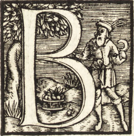 An illustration from Vitae et icones sultanorum Turcicorum, principum Persarum aliorumq[ue] illustrium heroum heroinarumq[ue] ab Osmane usq[ue] ad Mahometem II : ad vivum ex antiquis mettallis effictae, primum ex Co[n]sta[n]tinopoli D. Imp. Ferdina[n]do oblatae nunc descriptae & tetras[t]ichis succinctis illustratae, 1596, leaf 24