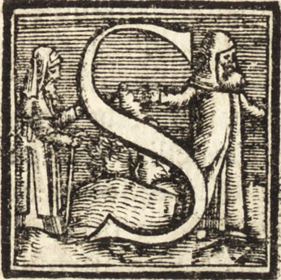 An illustration from Vitae et icones sultanorum Turcicorum, principum Persarum aliorumq[ue] illustrium heroum heroinarumq[ue] ab Osmane usq[ue] ad Mahometem II : ad vivum ex antiquis mettallis effictae, primum ex Co[n]sta[n]tinopoli D. Imp. Ferdina[n]do oblatae nunc descriptae & tetras[t]ichis succinctis illustratae, 1596, leaf 256
