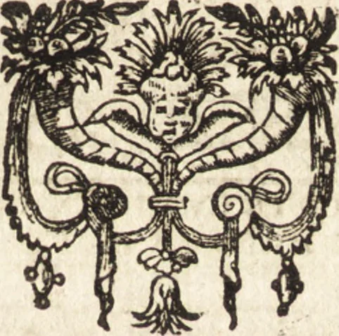 An illustration from Vitae et icones sultanorum Turcicorum, principum Persarum aliorumq[ue] illustrium heroum heroinarumq[ue] ab Osmane usq[ue] ad Mahometem II : ad vivum ex antiquis mettallis effictae, primum ex Co[n]sta[n]tinopoli D. Imp. Ferdina[n]do oblatae nunc descriptae & tetras[t]ichis succinctis illustratae, 1596, leaf 260
