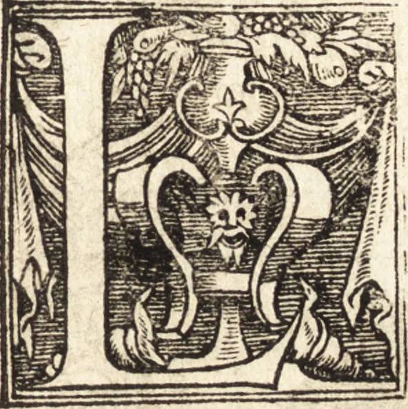 An illustration from Vitae et icones sultanorum Turcicorum, principum Persarum aliorumq[ue] illustrium heroum heroinarumq[ue] ab Osmane usq[ue] ad Mahometem II : ad vivum ex antiquis mettallis effictae, primum ex Co[n]sta[n]tinopoli D. Imp. Ferdina[n]do oblatae nunc descriptae & tetras[t]ichis succinctis illustratae, 1596, leaf 262