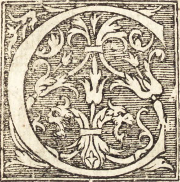 An illustration from Vitae et icones sultanorum Turcicorum, principum Persarum aliorumq[ue] illustrium heroum heroinarumq[ue] ab Osmane usq[ue] ad Mahometem II : ad vivum ex antiquis mettallis effictae, primum ex Co[n]sta[n]tinopoli D. Imp. Ferdina[n]do oblatae nunc descriptae & tetras[t]ichis succinctis illustratae, 1596, leaf 274