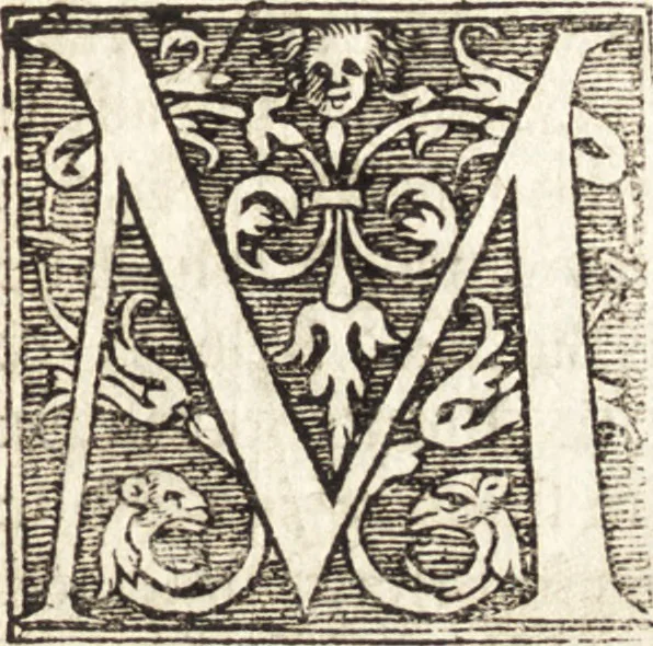 An illustration from Vitae et icones sultanorum Turcicorum, principum Persarum aliorumq[ue] illustrium heroum heroinarumq[ue] ab Osmane usq[ue] ad Mahometem II : ad vivum ex antiquis mettallis effictae, primum ex Co[n]sta[n]tinopoli D. Imp. Ferdina[n]do oblatae nunc descriptae & tetras[t]ichis succinctis illustratae, 1596, leaf 286