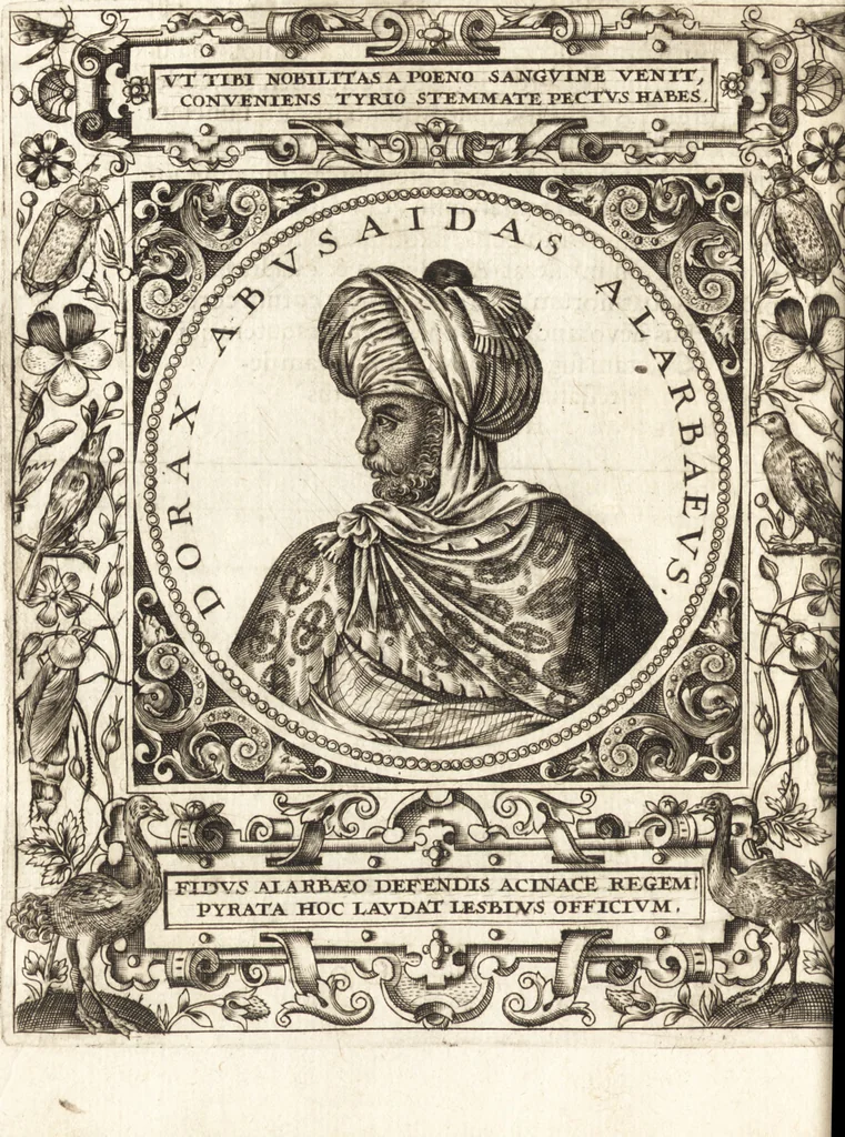 An illustration from Vitae et icones sultanorum Turcicorum, principum Persarum aliorumq[ue] illustrium heroum heroinarumq[ue] ab Osmane usq[ue] ad Mahometem II : ad vivum ex antiquis mettallis effictae, primum ex Co[n]sta[n]tinopoli D. Imp. Ferdina[n]do oblatae nunc descriptae & tetras[t]ichis succinctis illustratae, 1596, leaf 295