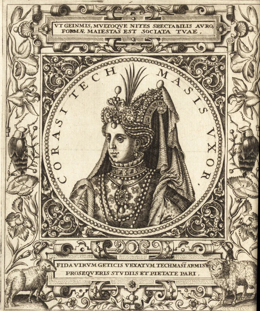 An illustration from Vitae et icones sultanorum Turcicorum, principum Persarum aliorumq[ue] illustrium heroum heroinarumq[ue] ab Osmane usq[ue] ad Mahometem II : ad vivum ex antiquis mettallis effictae, primum ex Co[n]sta[n]tinopoli D. Imp. Ferdina[n]do oblatae nunc descriptae & tetras[t]ichis succinctis illustratae, 1596, leaf 315