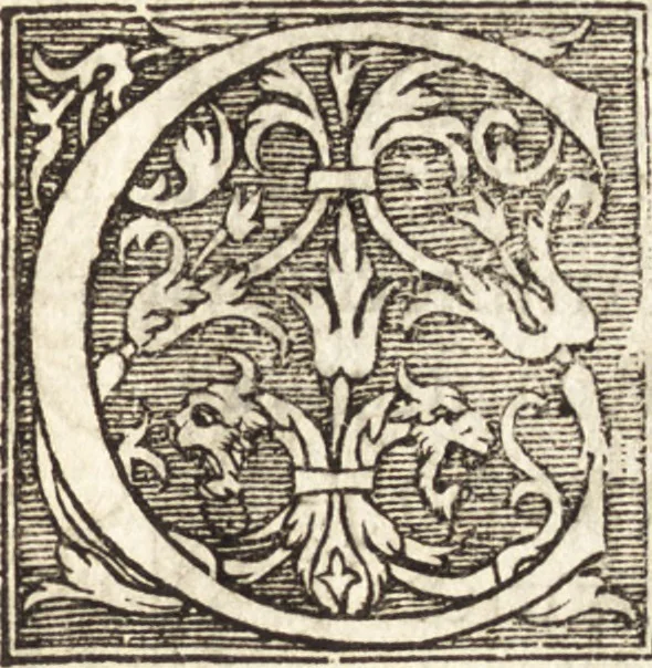 An illustration from Vitae et icones sultanorum Turcicorum, principum Persarum aliorumq[ue] illustrium heroum heroinarumq[ue] ab Osmane usq[ue] ad Mahometem II : ad vivum ex antiquis mettallis effictae, primum ex Co[n]sta[n]tinopoli D. Imp. Ferdina[n]do oblatae nunc descriptae & tetras[t]ichis succinctis illustratae, 1596, leaf 316