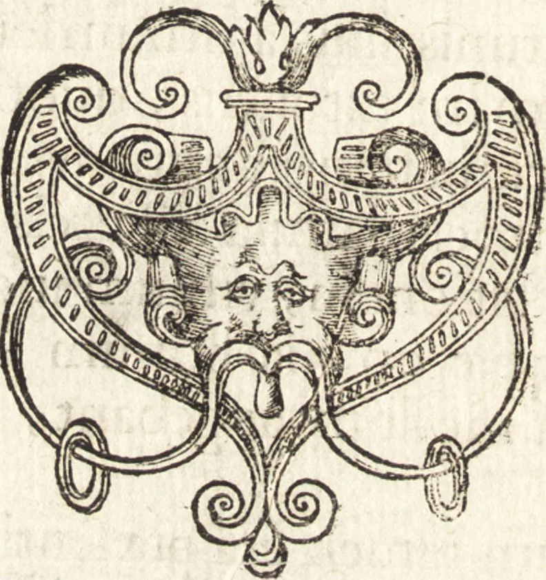 An illustration from Vitae et icones sultanorum Turcicorum, principum Persarum aliorumq[ue] illustrium heroum heroinarumq[ue] ab Osmane usq[ue] ad Mahometem II : ad vivum ex antiquis mettallis effictae, primum ex Co[n]sta[n]tinopoli D. Imp. Ferdina[n]do oblatae nunc descriptae & tetras[t]ichis succinctis illustratae, 1596, leaf 317