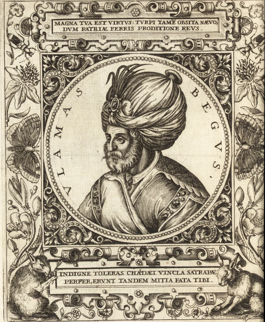 An illustration from Vitae et icones sultanorum Turcicorum, principum Persarum aliorumq[ue] illustrium heroum heroinarumq[ue] ab Osmane usq[ue] ad Mahometem II : ad vivum ex antiquis mettallis effictae, primum ex Co[n]sta[n]tinopoli D. Imp. Ferdina[n]do oblatae nunc descriptae & tetras[t]ichis succinctis illustratae, 1596, leaf 319