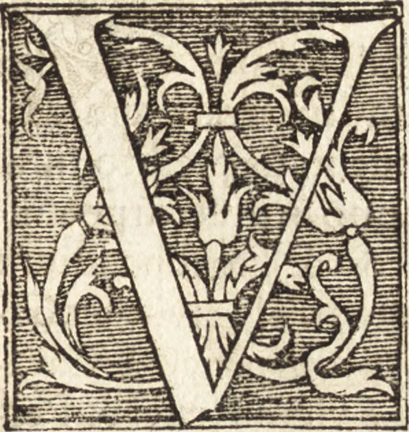 An illustration from Vitae et icones sultanorum Turcicorum, principum Persarum aliorumq[ue] illustrium heroum heroinarumq[ue] ab Osmane usq[ue] ad Mahometem II : ad vivum ex antiquis mettallis effictae, primum ex Co[n]sta[n]tinopoli D. Imp. Ferdina[n]do oblatae nunc descriptae & tetras[t]ichis succinctis illustratae, 1596, leaf 320