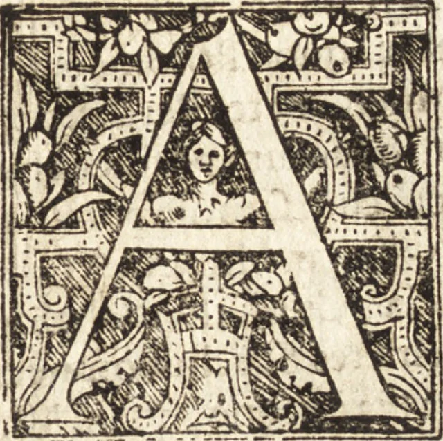 An illustration from Vitae et icones sultanorum Turcicorum, principum Persarum aliorumq[ue] illustrium heroum heroinarumq[ue] ab Osmane usq[ue] ad Mahometem II : ad vivum ex antiquis mettallis effictae, primum ex Co[n]sta[n]tinopoli D. Imp. Ferdina[n]do oblatae nunc descriptae & tetras[t]ichis succinctis illustratae, 1596, leaf 352