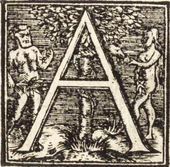 An illustration from Vitae et icones sultanorum Turcicorum, principum Persarum aliorumq[ue] illustrium heroum heroinarumq[ue] ab Osmane usq[ue] ad Mahometem II : ad vivum ex antiquis mettallis effictae, primum ex Co[n]sta[n]tinopoli D. Imp. Ferdina[n]do oblatae nunc descriptae & tetras[t]ichis succinctis illustratae, 1596, leaf 88