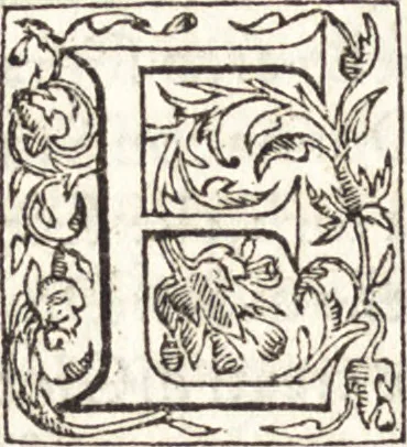 An illustration from Le vite de piv eccellenti architetti, pittori, et scvltori italiani : da Cimabve in sino à tempi nostri, 1550, leaf 153