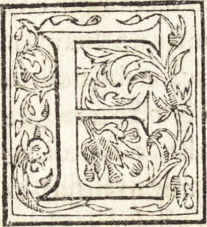 An illustration from Le vite de piv eccellenti architetti, pittori, et scvltori italiani : da Cimabve in sino à tempi nostri, 1550, leaf 173