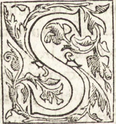 An illustration from Le vite de piv eccellenti architetti, pittori, et scvltori italiani : da Cimabve in sino à tempi nostri, 1550, leaf 199