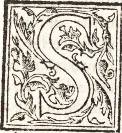 An illustration from Le vite de piv eccellenti architetti, pittori, et scvltori italiani : da Cimabve in sino à tempi nostri, 1550, leaf 202