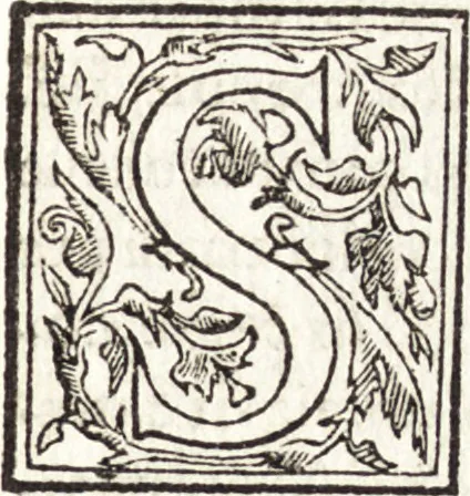 An illustration from Le vite de piv eccellenti architetti, pittori, et scvltori italiani : da Cimabve in sino à tempi nostri, 1550, leaf 216