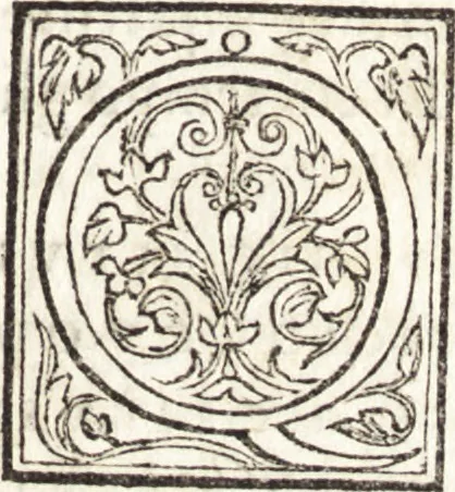 An illustration from Le vite de piv eccellenti architetti, pittori, et scvltori italiani : da Cimabve in sino à tempi nostri, 1550, leaf 220