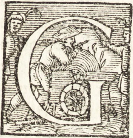 An illustration from Le vite de piv eccellenti architetti, pittori, et scvltori italiani : da Cimabve in sino à tempi nostri, 1550, leaf 222