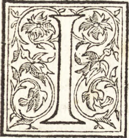 An illustration from Le vite de piv eccellenti architetti, pittori, et scvltori italiani : da Cimabve in sino à tempi nostri, 1550, leaf 238