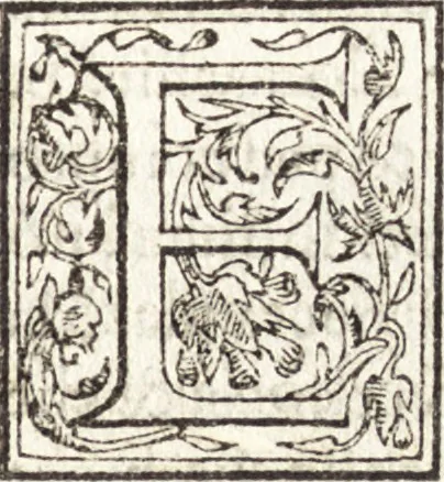 An illustration from Le vite de piv eccellenti architetti, pittori, et scvltori italiani : da Cimabve in sino à tempi nostri, 1550, leaf 248