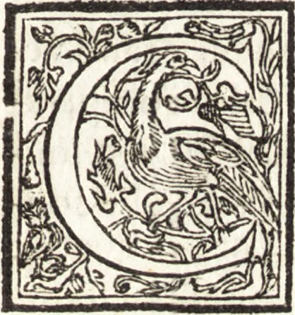 An illustration from Le vite de piv eccellenti architetti, pittori, et scvltori italiani : da Cimabve in sino à tempi nostri, 1550, leaf 286