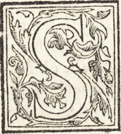 An illustration from Le vite de piv eccellenti architetti, pittori, et scvltori italiani : da Cimabve in sino à tempi nostri, 1550, leaf 355