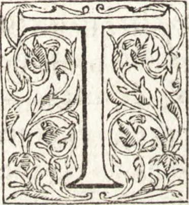 An illustration from Le vite de piv eccellenti architetti, pittori, et scvltori italiani : da Cimabve in sino à tempi nostri, 1550, leaf 357