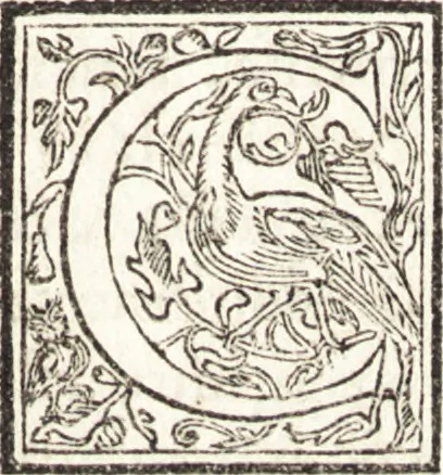 An illustration from Le vite de piv eccellenti architetti, pittori, et scvltori italiani : da Cimabve in sino à tempi nostri, 1550, leaf 370